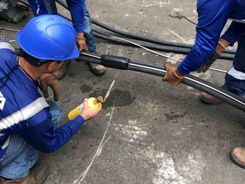 Acerca de nosotros